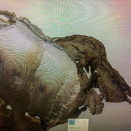 Interrupted 3D scan by artist Paul Coombs
